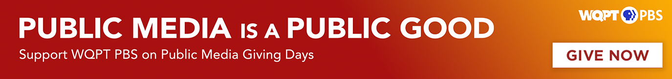 Public Media is Good Media