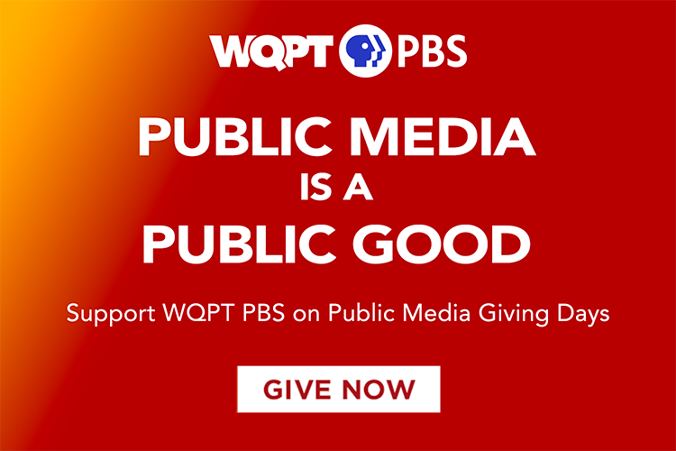Public Media is Good Media