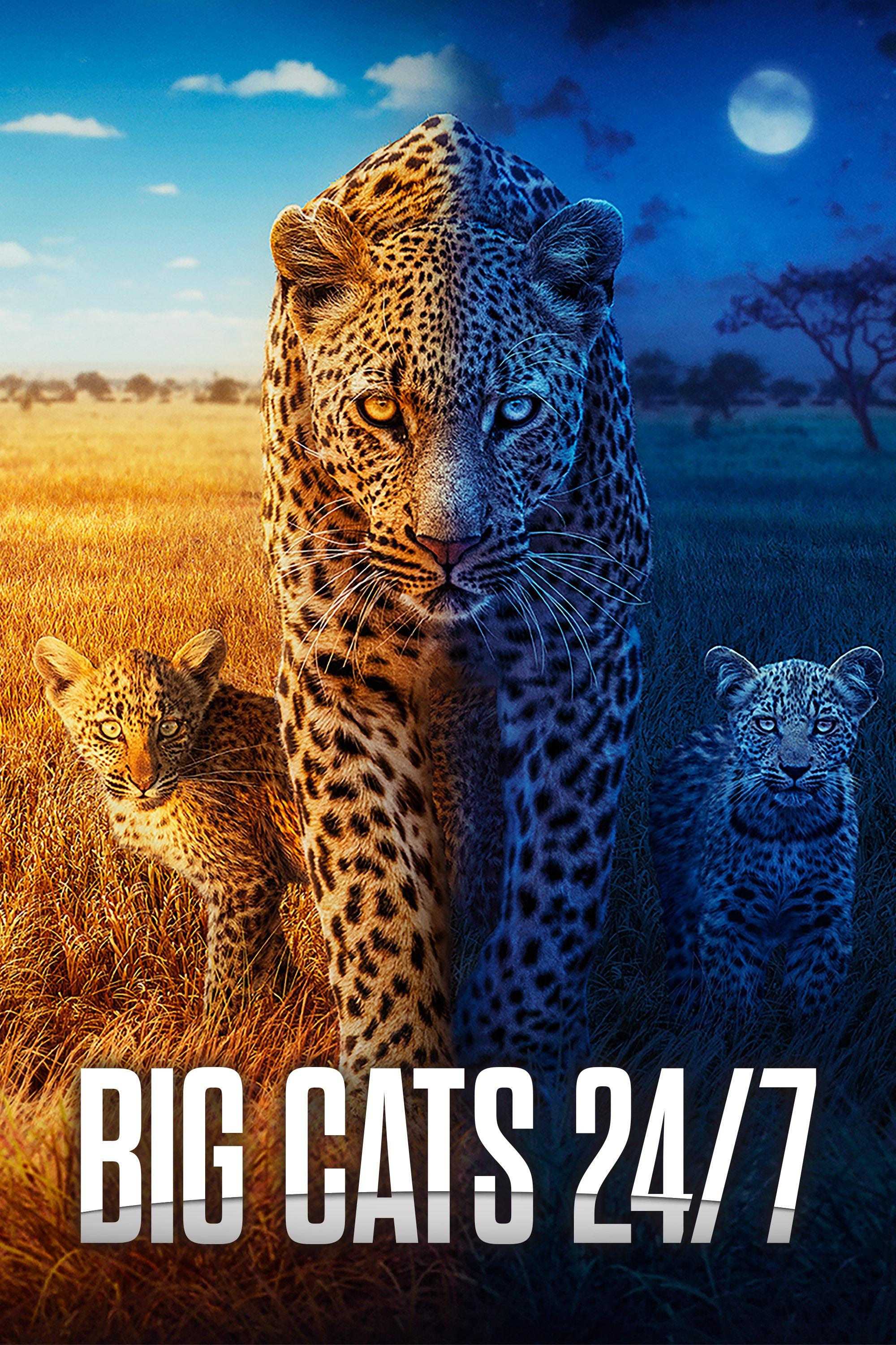Big Cats
