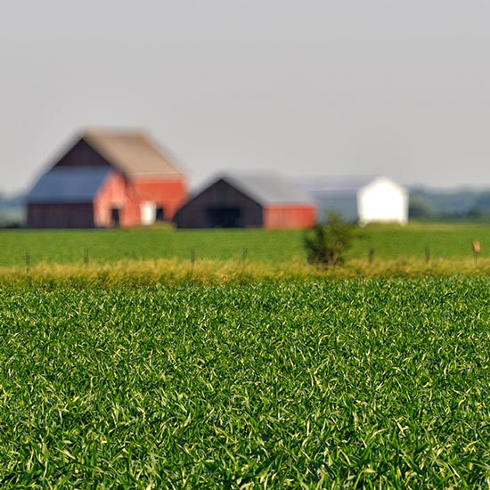 Photo of Rural Illinois